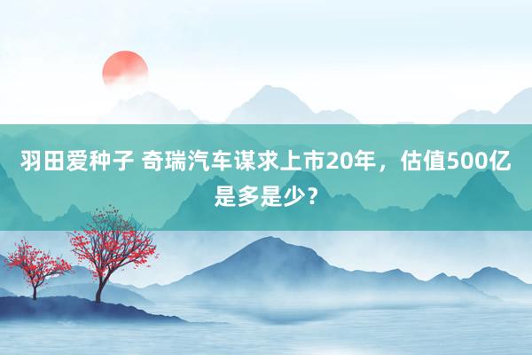 羽田爱种子 奇瑞汽车谋求上市20年，估值500亿是多是少？