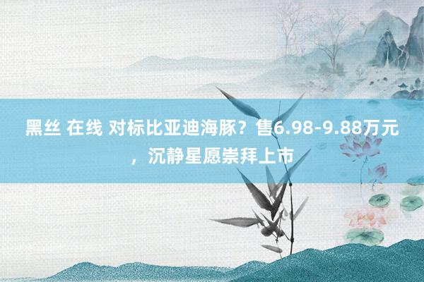 黑丝 在线 对标比亚迪海豚？售6.98-9.88万元，沉静星愿崇拜上市