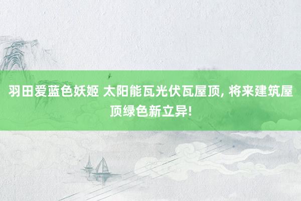 羽田爱蓝色妖姬 太阳能瓦光伏瓦屋顶， 将来建筑屋顶绿色新立异!