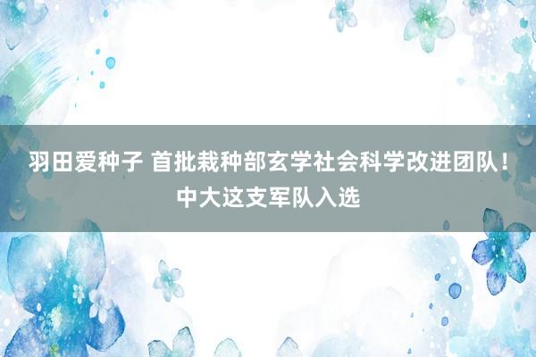 羽田爱种子 首批栽种部玄学社会科学改进团队！中大这支军队入选