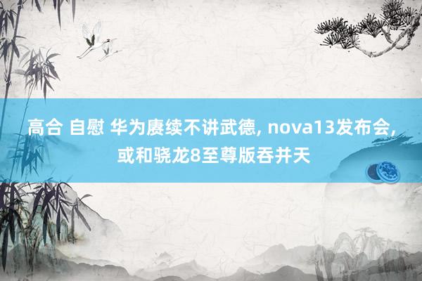 高合 自慰 华为赓续不讲武德， nova13发布会， 或和骁龙8至尊版吞并天