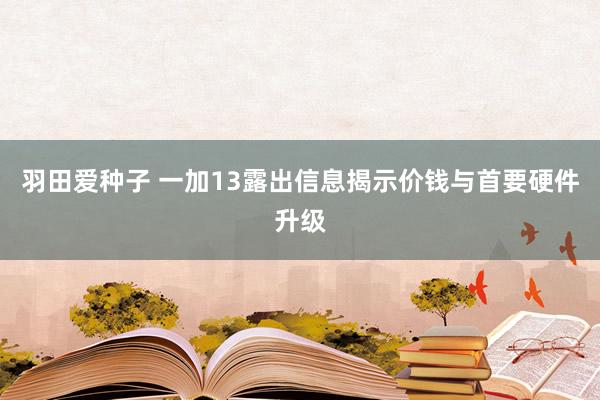 羽田爱种子 一加13露出信息揭示价钱与首要硬件升级