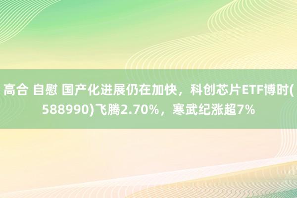 高合 自慰 国产化进展仍在加快，科创芯片ETF博时(588990)飞腾2.70%，寒武纪涨超7%