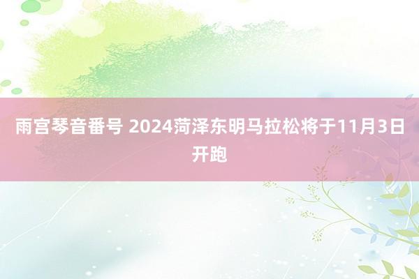 雨宫琴音番号 2024菏泽东明马拉松将于11月3日开跑