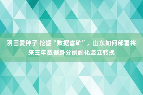 羽田爱种子 挖掘“数据富矿”，山东如何部署将来三年数据身分阛阓化竖立转换