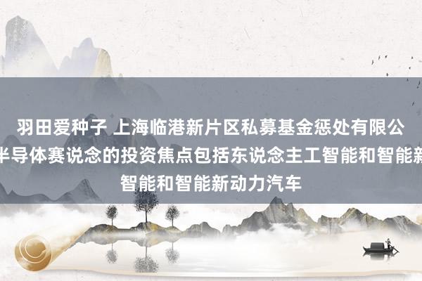 羽田爱种子 上海临港新片区私募基金惩处有限公司孙勇：半导体赛说念的投资焦点包括东说念主工智能和智能新动力汽车