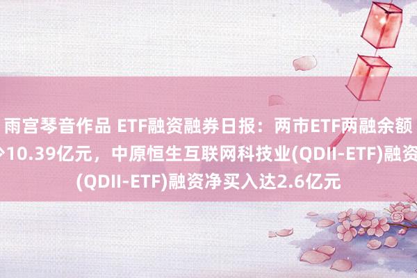 雨宫琴音作品 ETF融资融券日报：两市ETF两融余额较前一走动日减少10.39亿元，中原恒生互联网科技业(QDII-ETF)融资净买入达2.6亿元