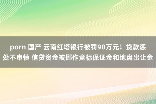 porn 国产 云南红塔银行被罚90万元！贷款惩处不审慎 信贷资金被挪作竞标保证金和地盘出让金