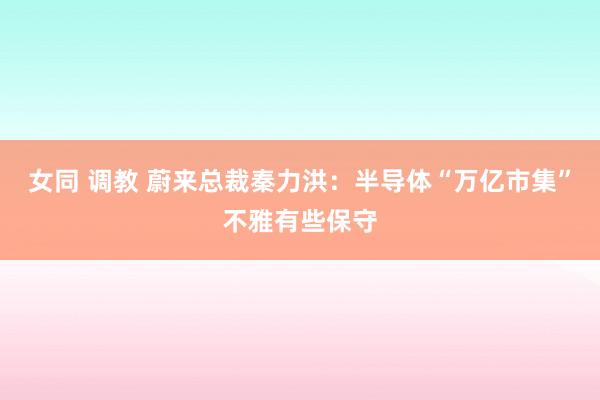 女同 调教 蔚来总裁秦力洪：半导体“万亿市集”不雅有些保守