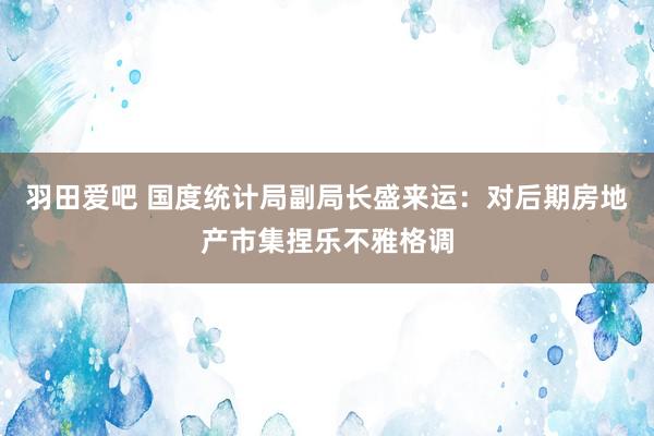 羽田爱吧 国度统计局副局长盛来运：对后期房地产市集捏乐不雅格调