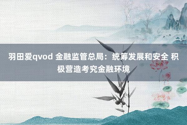 羽田爱qvod 金融监管总局：统筹发展和安全 积极营造考究金融环境