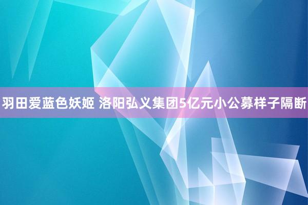 羽田爱蓝色妖姬 洛阳弘义集团5亿元小公募样子隔断