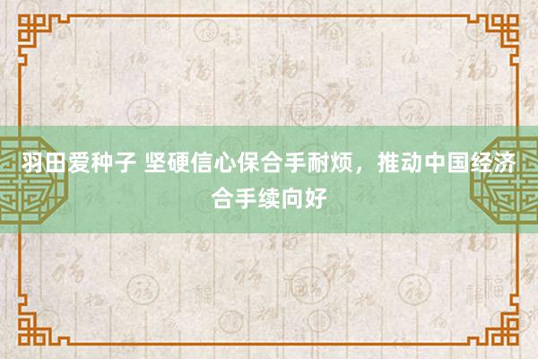 羽田爱种子 坚硬信心保合手耐烦，推动中国经济合手续向好