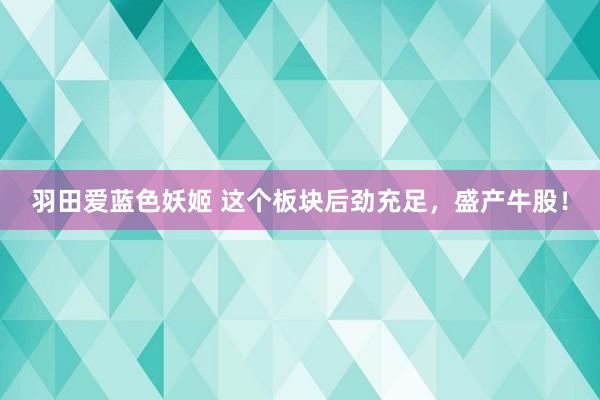 羽田爱蓝色妖姬 这个板块后劲充足，盛产牛股！