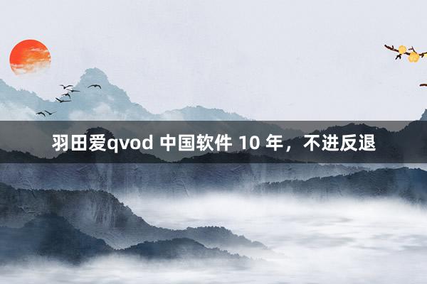 羽田爱qvod 中国软件 10 年，不进反退