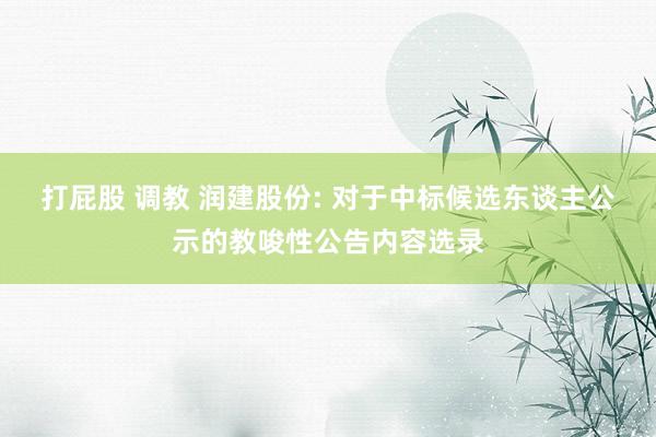 打屁股 调教 润建股份: 对于中标候选东谈主公示的教唆性公告内容选录