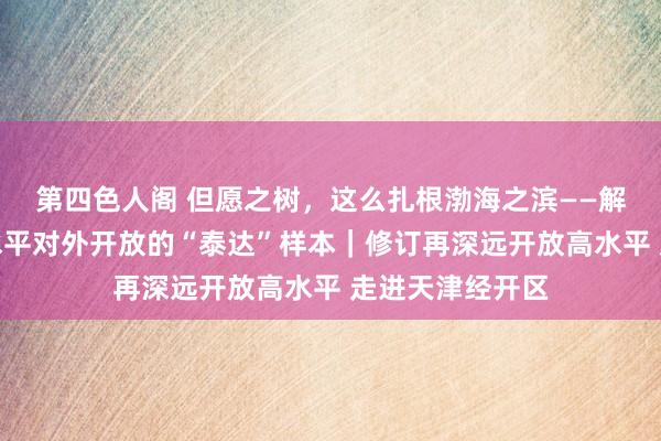 第四色人阁 但愿之树，这么扎根渤海之滨——解码塌实鼓舞高水平对外开放的“泰达”样本｜修订再深远开放高水平 走进天津经开区