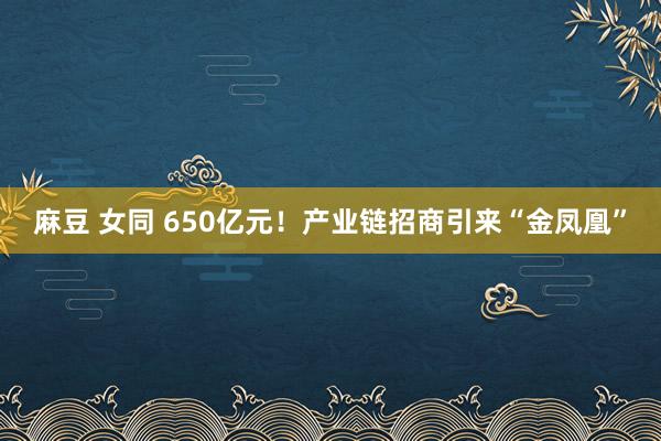 麻豆 女同 650亿元！产业链招商引来“金凤凰”