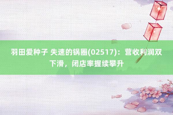 羽田爱种子 失速的锅圈(02517)：营收利润双下滑，闭店率握续攀升