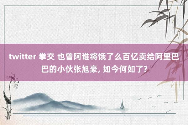 twitter 拳交 也曾阿谁将饿了么百亿卖给阿里巴巴的小伙张旭豪， 如今何如了?