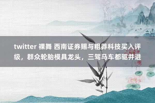 twitter 裸舞 西南证券赐与粗莽科技买入评级，群众轮胎模具龙头，三驾马车都驱并进