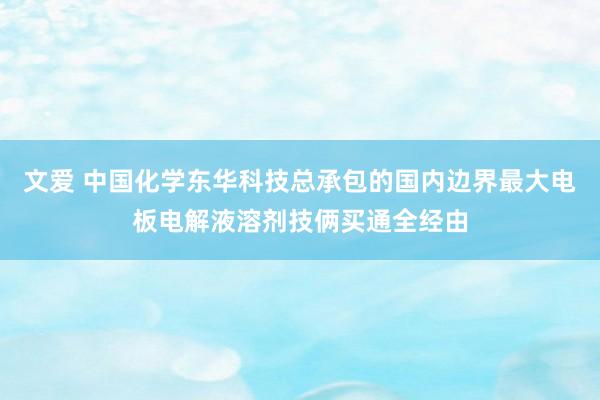 文爱 中国化学东华科技总承包的国内边界最大电板电解液溶剂技俩买通全经由