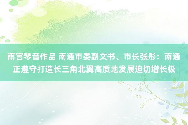 雨宫琴音作品 南通市委副文书、市长张彤：南通正遵守打造长三角北翼高质地发展迫切增长极