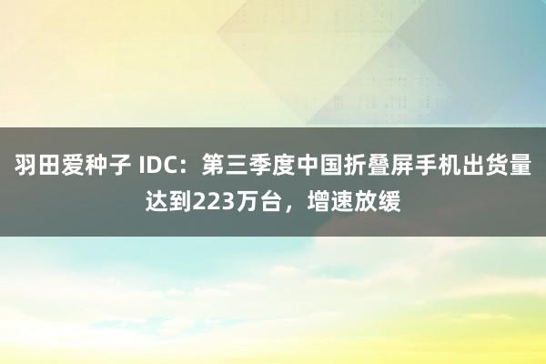 羽田爱种子 IDC：第三季度中国折叠屏手机出货量达到223万台，增速放缓