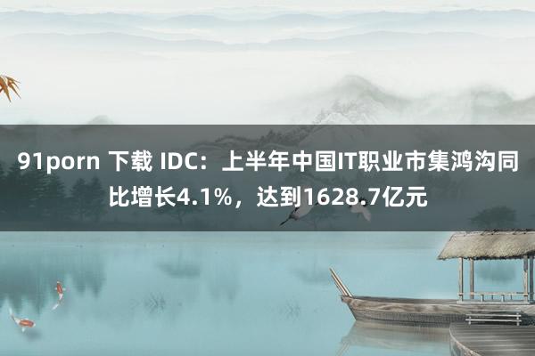 91porn 下载 IDC：上半年中国IT职业市集鸿沟同比增长4.1%，达到1628.7亿元