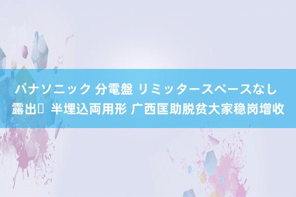 パナソニック 分電盤 リミッタースペースなし 露出・半埋込両用形 广西匡助脱贫大家稳岗增收