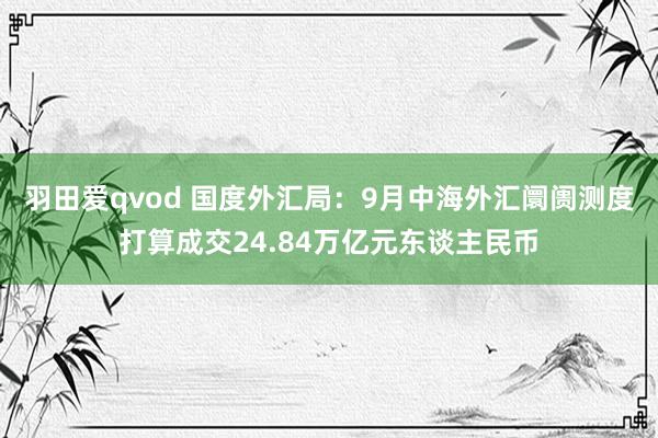 羽田爱qvod 国度外汇局：9月中海外汇阛阓测度打算成交24.84万亿元东谈主民币