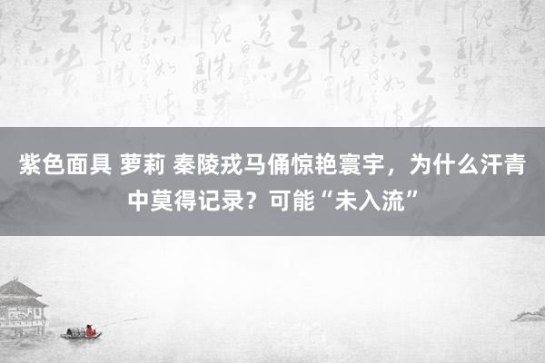 紫色面具 萝莉 秦陵戎马俑惊艳寰宇，为什么汗青中莫得记录？可能“未入流”