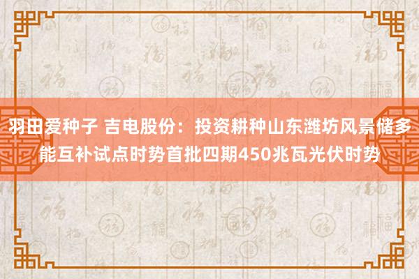 羽田爱种子 吉电股份：投资耕种山东潍坊风景储多能互补试点时势首批四期450兆瓦光伏时势