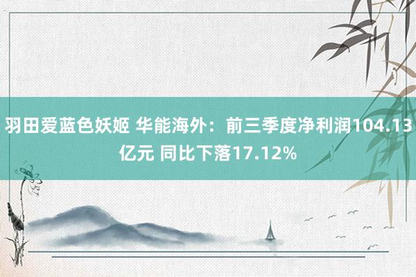 羽田爱蓝色妖姬 华能海外：前三季度净利润104.13亿元 同比下落17.12%