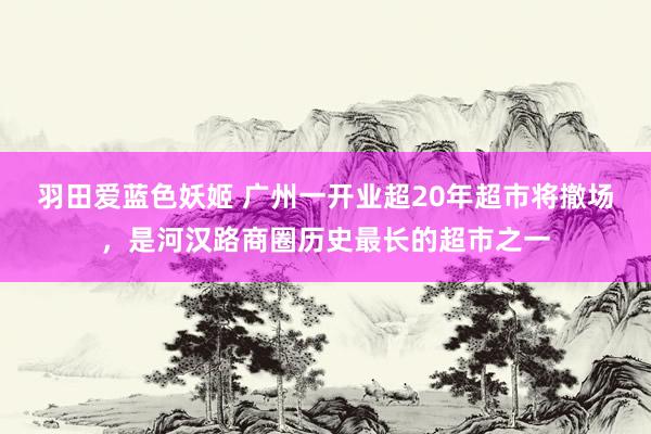 羽田爱蓝色妖姬 广州一开业超20年超市将撤场，是河汉路商圈历史最长的超市之一