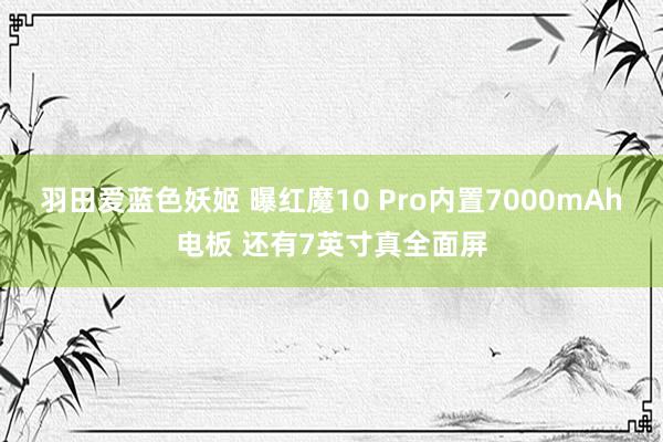 羽田爱蓝色妖姬 曝红魔10 Pro内置7000mAh电板 还有7英寸真全面屏