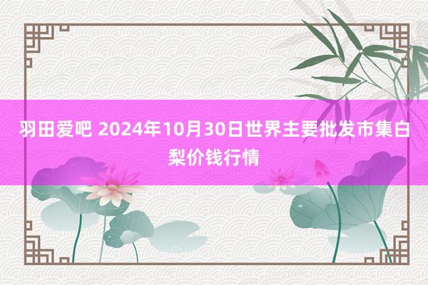 羽田爱吧 2024年10月30日世界主要批发市集白梨价钱行情