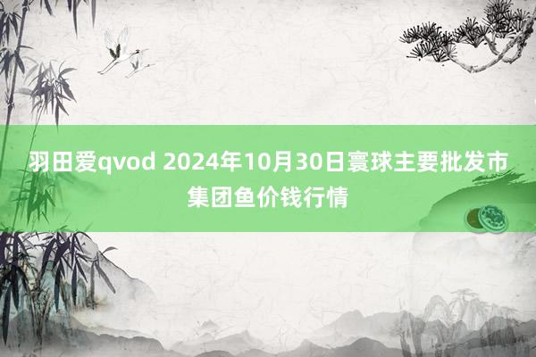 羽田爱qvod 2024年10月30日寰球主要批发市集团鱼价钱行情