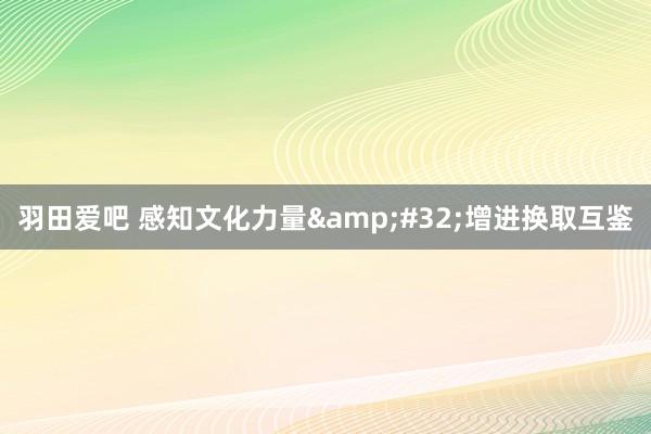 羽田爱吧 感知文化力量&#32;增进换取互鉴