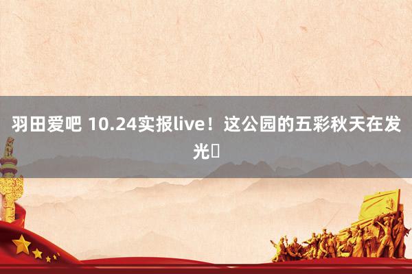 羽田爱吧 10.24实报live！这公园的五彩秋天在发光✨