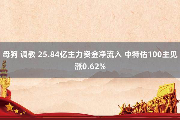 母狗 调教 25.84亿主力资金净流入 中特估100主见涨0.62%