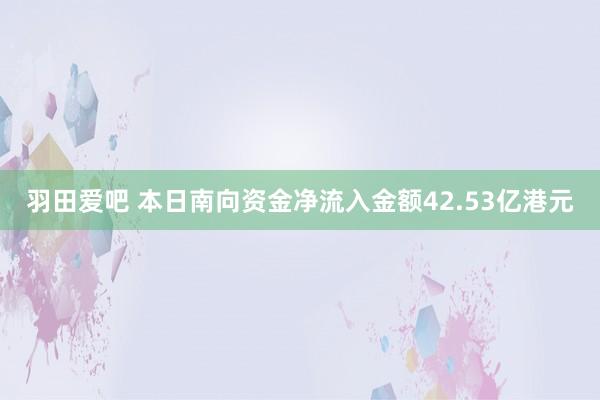 羽田爱吧 本日南向资金净流入金额42.53亿港元