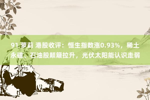 91 萝莉 港股收评：恒生指数涨0.93%，稀土永磁、石油股颠簸拉升，光伏太阳能认识走弱