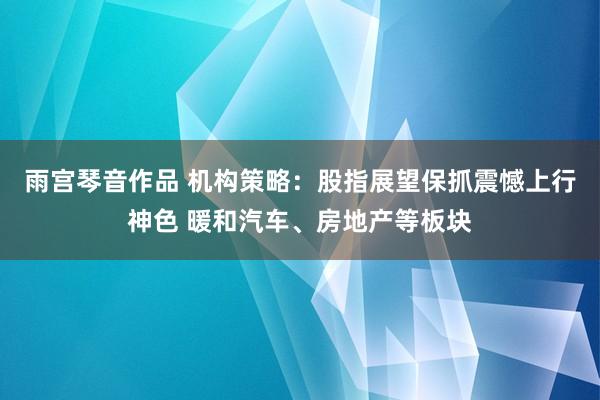 雨宫琴音作品 机构策略：股指展望保抓震憾上行神色 暖和汽车、房地产等板块