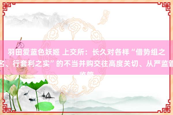 羽田爱蓝色妖姬 上交所：长久对各样“借势组之名、行套利之实”的不当并购交往高度关切、从严监管