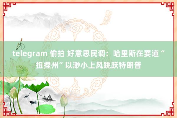 telegram 偷拍 好意思民调：哈里斯在要道“扭捏州”以渺小上风跳跃特朗普