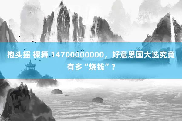 抱头摇 裸舞 14700000000，好意思国大选究竟有多“烧钱”？