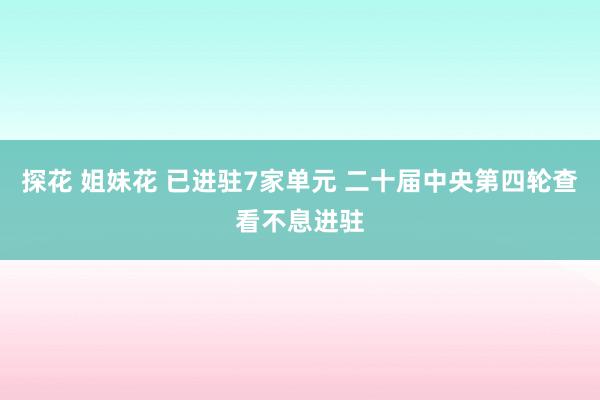 探花 姐妹花 已进驻7家单元 二十届中央第四轮查看不息进驻