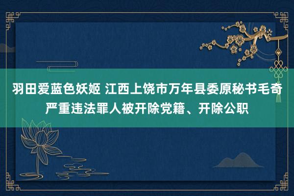 羽田爱蓝色妖姬 江西上饶市万年县委原秘书毛奇严重违法罪人被开除党籍、开除公职