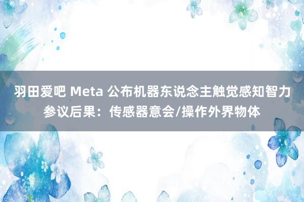 羽田爱吧 Meta 公布机器东说念主触觉感知智力参议后果：传感器意会/操作外界物体